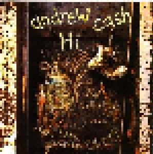 Andrew Cash: Hi (CD) - Bild 1