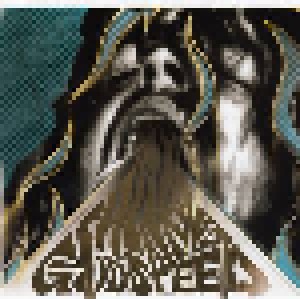 Shaking Godspeed: Hoera/Awe (2-CD) - Bild 1