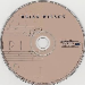 Brian Wilson: Brian Wilson (CD) - Bild 5