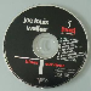 Joe Louis Walker: Blues Survivor (CD) - Bild 2