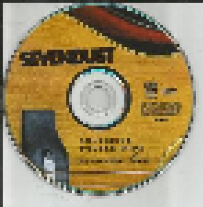 Sevendust: Southside Double-Wide: Acoustic Live (CD-Box + DVD) - Bild 7