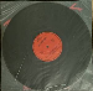 Paul Hertzog + Paul Delph: Bloodsport (Split-LP) - Bild 4