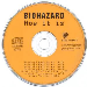 Biohazard: How It Is (Single-CD) - Bild 3