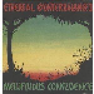 Cover - Ethereal Counterbalance: Mellifluous Confluence