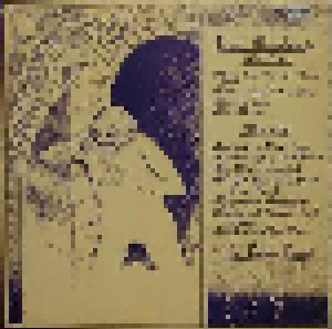 The Bevis Frond: Inner Marshland (LP) - Bild 2