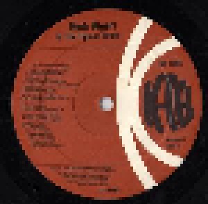 Herb Alpert & The Tijuana Brass: 40 Greatest (2-LP) - Bild 4