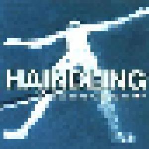 Haindling: Zwischenlandung - Cover