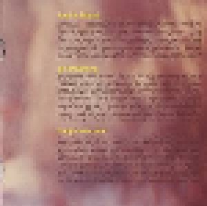 Dido: Girl Who Got Away (CD + Mini-CD / EP) - Bild 7