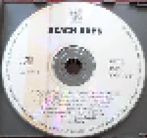 The Beach Boys: Beach Boys (2-CD) - Bild 3