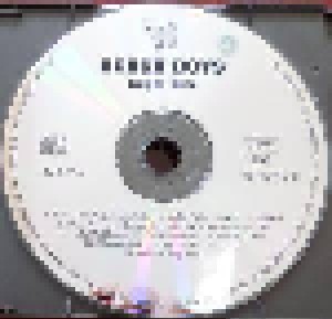 The Beach Boys: Beach Boys (2-CD) - Bild 4