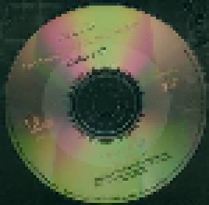 Izzy Stradlin And The Ju Ju Hounds: Shuffle It All (Single-CD) - Bild 3
