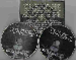 Decayed: Blasphemic Offerings - The Singles 1993-2011 (2-CD) - Bild 2