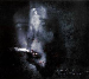 Cover - Aura Hiemis: Synthèse Collectif — The Dark Whormholes
