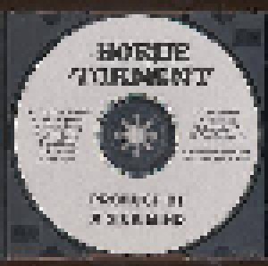 The Horde Of Torment: Product Of A Sick Mind (CD-R) - Bild 3