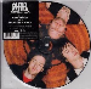The All-American Rejects: Gives You Hell (PIC-7") - Bild 1