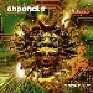 Shpongle: Nothing Lasts... But Nothing Is Lost (2-LP) - Bild 1