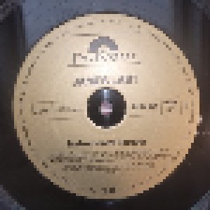 James Last: Instrumental Forever - Das Beste Aus Meinen Goldenen (LP) - Bild 3