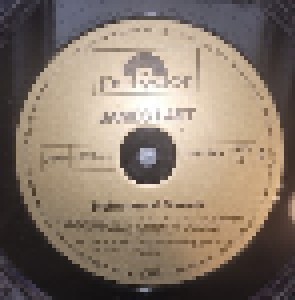 James Last: Instrumental Forever - Das Beste Aus Meinen Goldenen (LP) - Bild 4