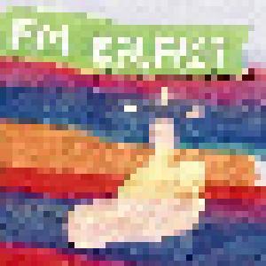 FM Belfast: How To Make Friends - Cover