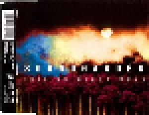 Soundgarden: Fell On Black Days (Single-CD) - Bild 2