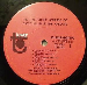 Davie Allan & The Arrows: Cycle-Delic Sounds (LP) - Bild 3