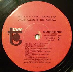 Davie Allan & The Arrows: Cycle-Delic Sounds (LP) - Bild 4