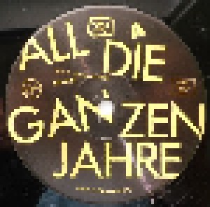 Die Toten Hosen: All Die Ganzen Jahre (12") - Bild 3