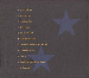 Rich Hopkins & Luminarios: My Lucky Stars (CD) - Bild 4