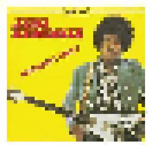Jimi Hendrix: Hornets Nest - Cover