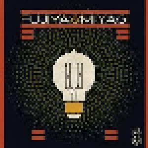 Fujiya & Miyagi: Lightbulbs (LP) - Bild 1