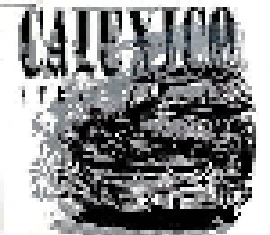 Calexico: Stray (Single-CD) - Bild 1