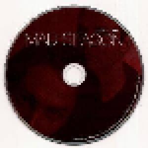 Mad Season: Above (2-CD + DVD) - Bild 8