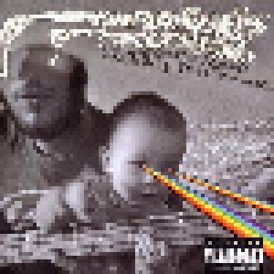 The Flaming Lips: The Dark Side Of The Moon (CD) - Bild 1