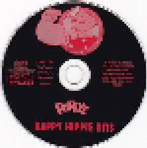 Happy Hippie Hits (CD) - Bild 3
