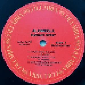 Al Di Meola: Elegant Gypsy (LP) - Bild 5