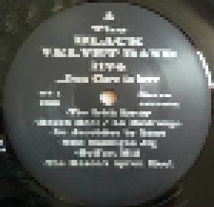 Black Velvet Band: ... From Clare To Here (LP) - Bild 4
