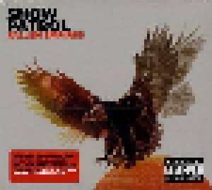 Snow Patrol: Fallen Empires (CD) - Bild 1