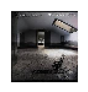 Dan Fogelberg: Windows And Walls (LP) - Bild 1