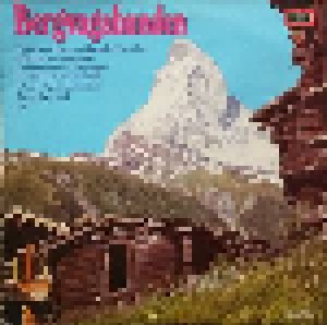 Cover - Orchester Franzl Hepp: Bergvagabunden