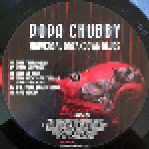 Popa Chubby: Universal Breakdown Blues (LP) - Bild 3