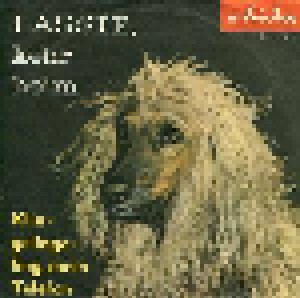 Little Wölfi: Lassie, Kehr Heim (7") - Bild 1