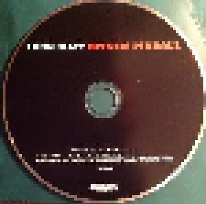John Hiatt: Mystic Pinball (CD) - Bild 2