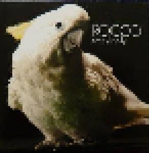 Rocco: Everybody (Single-CD) - Bild 1