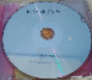 Passion Pit: Gossamer (CD) - Bild 2