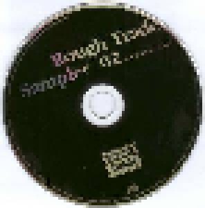 Rough Trade Sampler 02 International Edition (CD) - Bild 3