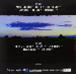 Elliott Murphy: It Takes A Worried Man (LP + CD) - Bild 2