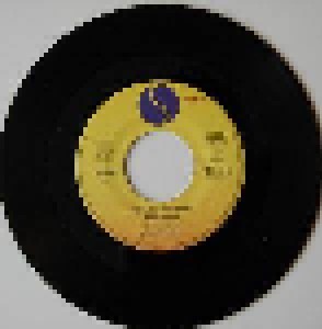 The Paley Brothers And Ramones, The + Paley Brothers: Come On Let's Go (Split-7") - Bild 4
