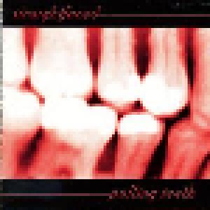 Straight Faced: Pulling Teeth (CD) - Bild 1