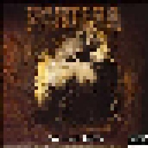 Pantera: Far Beyond Driven (LP) - Bild 1