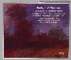 Robert Volkmann: Complete Orchestral Works (2-CD) - Bild 1